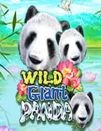 แชร์เทคนิคสมัคร เว็บ เล่น สล็อตพร้อมสูตรเด็ด